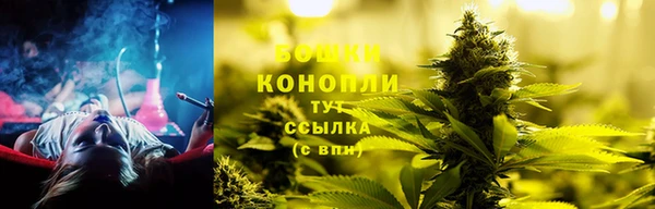 ГАЛЛЮЦИНОГЕННЫЕ ГРИБЫ Бородино