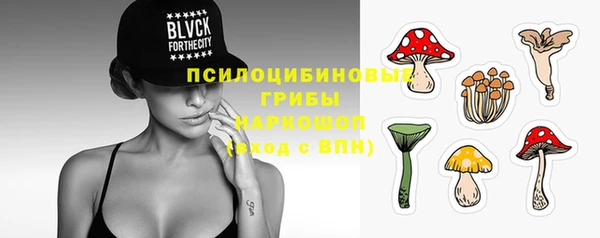 ГАЛЛЮЦИНОГЕННЫЕ ГРИБЫ Бородино