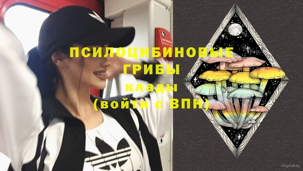 ГАЛЛЮЦИНОГЕННЫЕ ГРИБЫ Бородино
