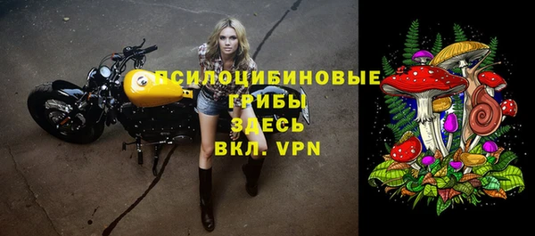 амф Бугульма